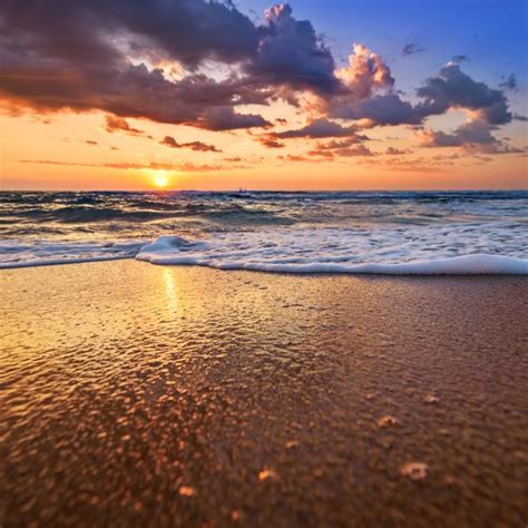 It is 249.85 miles or 402.1 kilometers from port macquarie, new south wales to byron bay, new south wales. Things to Do in New Port Richey, Florida | USA Today
