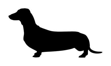 Fresh 65 Of Wiener Dog Clipart Metallicpanic