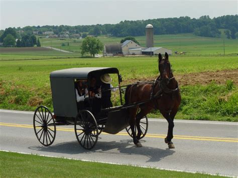 Things You Might Not Know About The Amish People Virily