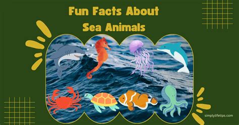 Fun Facts About Sea Animals For Kids