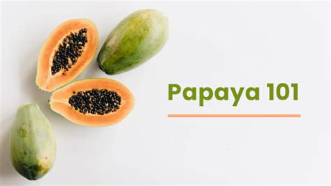Papaya 101 Everything You Need To Know About The Fruit