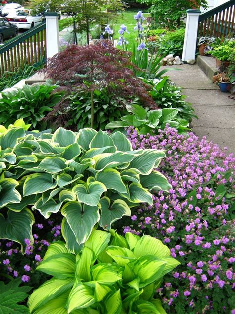 In housing context, we all know the saying is a bit true. Landscaping: Front Yard Landscaping Ideas With Hostas