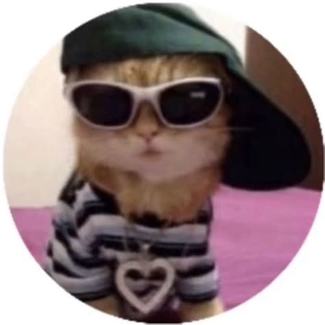Round Icon Pfp Cute Cool Cat Hat Sunglasses Dressed Aesthetic Y2k