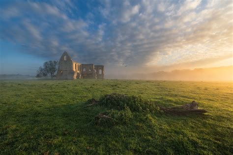 936397 Sunset Grass Ruins Landscape Italy Plants Nature Leaves