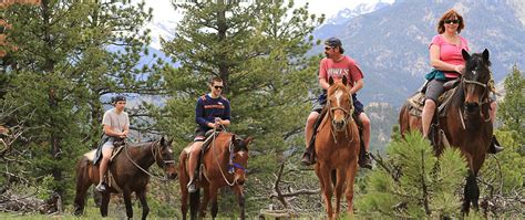 Horse Trail Rides And Horseback Riding In The Rocky Mountain Park In