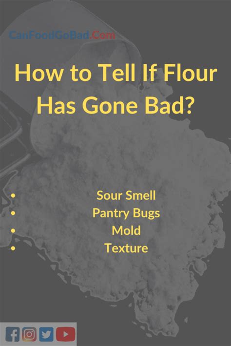 Does Flour Expire How To Know When Its Time To Toss Your Flour