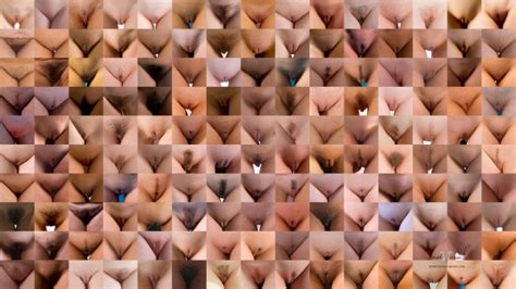 Types Of Pussy Photos Sex Pics