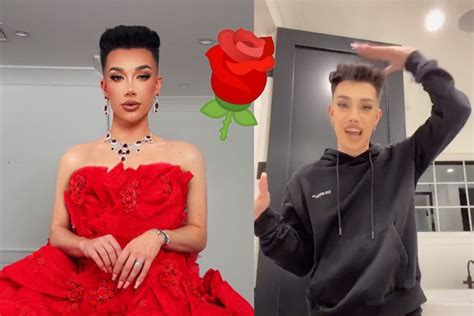 Fans Want James Charles To Be The First Gay Bachelor Girlfriend