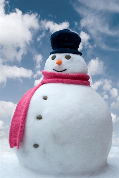 Snowman Christmas Photo 22227886 Fanpop