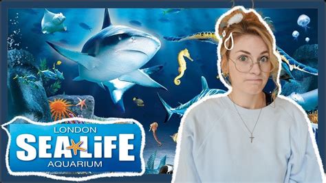 A Brutally Honest Review On The Sea Life London Aquarium Day 3 Youtube