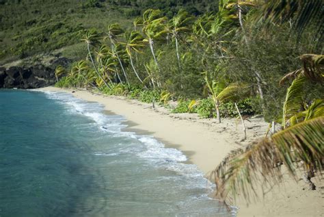 Secluded Tropical Beach 6053 Stockarch Free Stock Photo Archive