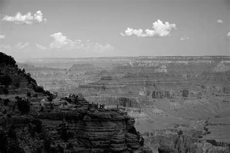 Enjoying The View Photograph By David Reay Fine Art America