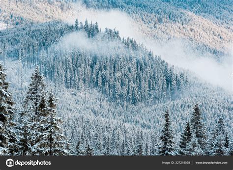 Scenic View Snowy Pine Trees White Fluffy Clouds Mountains — Stock