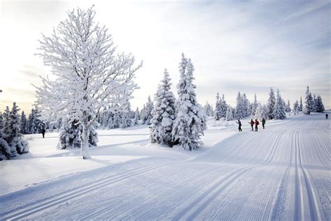 Cross Country Skiing In Lillehammer Norway Cross Country Skiing Ski