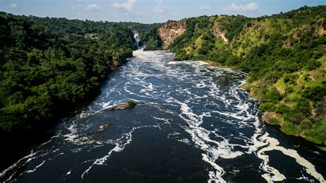 The nile river system, has two principal tributaries which combined make the existing nile river, the white nile, which supplies much less water to nile's flow, and the blue nile. Jinja and the Source of the Nile - Natural World Safaris