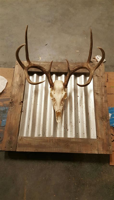 Finish off your crafts project with a roe deer antler. Homemade DIY wall mount for European deer skull. Used pallet wood and stained using vinegar ...