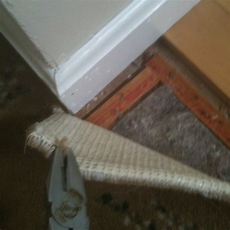 How To Remove Old Carpet From Floor The Lady 8 Home