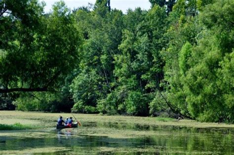 9 Stunning Louisiana State Parks Where You Can Camp All Year Round