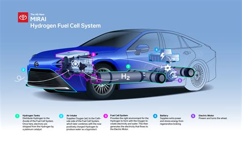 Tengerpart Majom Verseny Hydrogen Fuel Cell Vs Battery Cars összekötött Erkölcsi Hófehér