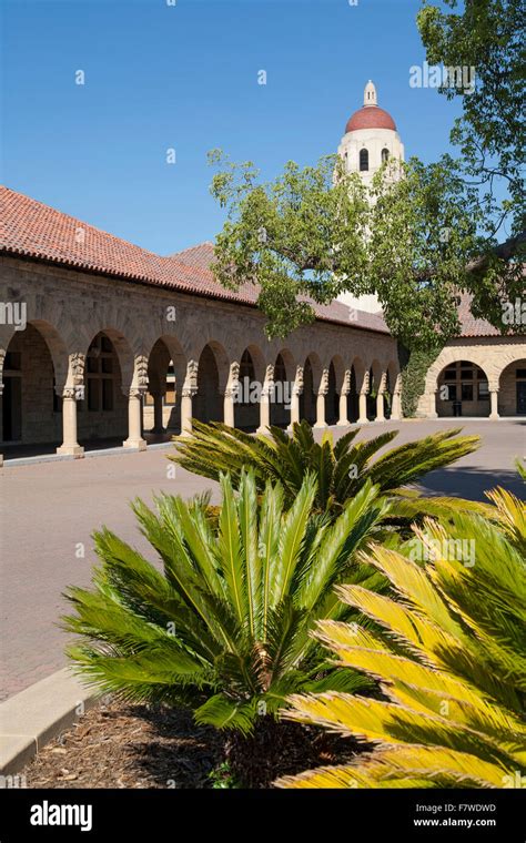United States California Palo Alto Stanford University Campus The