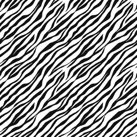 460 Black And White Zebra Print Illustrations Royalty Free Vector