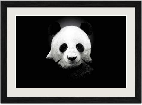 Giant Panda Art Print Wall Black Wood Grain Framed