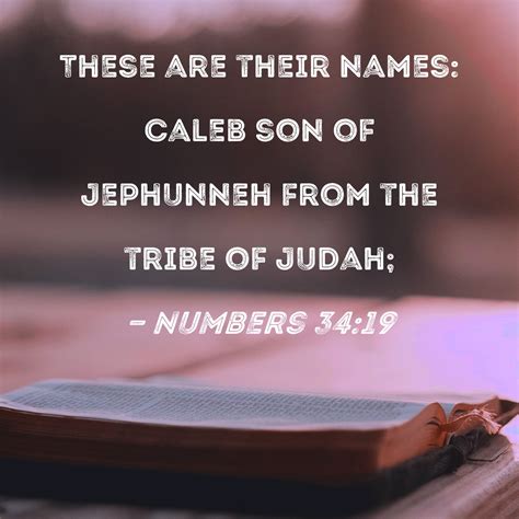 Numbers 3419 These Are Their Names Caleb Son Of Jephunneh From The