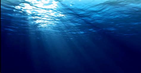 Gambar pemandangan dasar laut raja ampat. Alquran Jelaskan Kondisi Dasar Laut yang Gelap Gulita