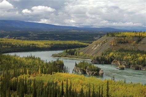 Why The Yukon River Is So Valuable Wwf Blog Yukon River Canada