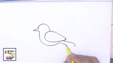How To Draw A Bird Easy Video Iliana Lancaster