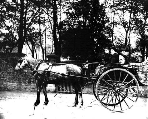 Horse And Carriage 1890s