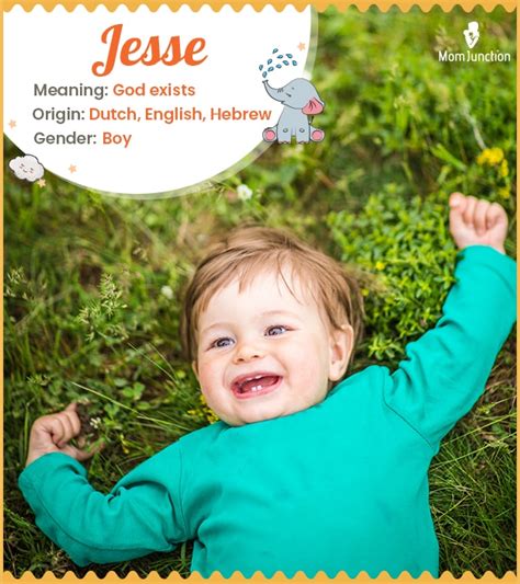 Jesse Name Meaning Origin History And Popularity