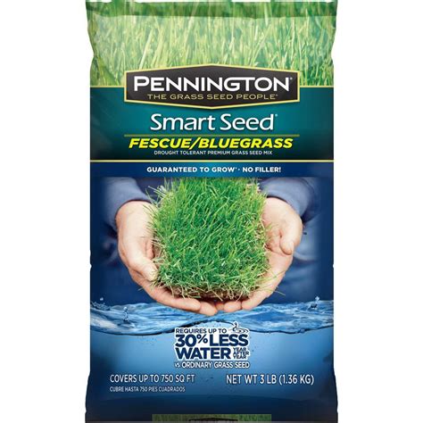 Pennington Smart Seed 3 Lb Fescuebluegrass Grass Seed Mix 100086834