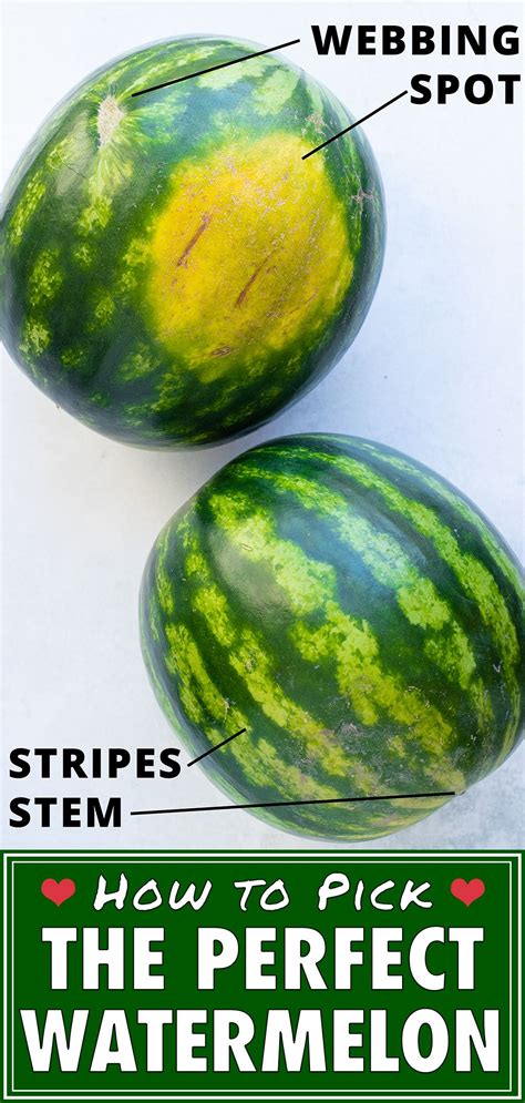 When do you pick watermelon? How to Pick the BEST Watermelon | Super Ripe & Sweet ...