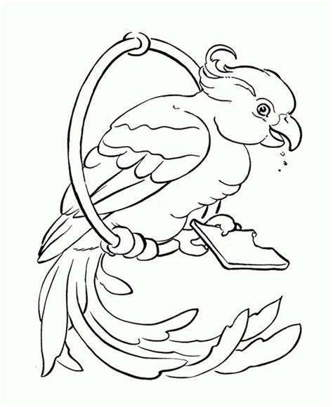 Cute Parrot Coloring Pages Free Coloring Sheets Bird Coloring Pages