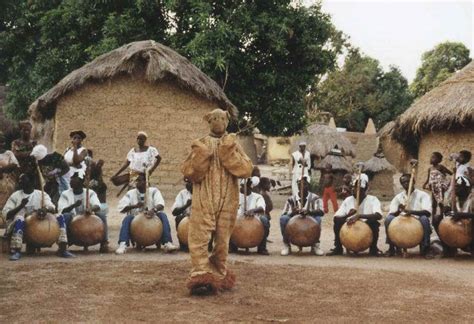 Rezo Ivoire Net Lensemble Ethnique Senoufo