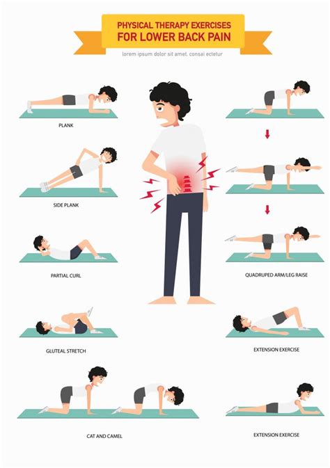 Bed Exercises For Lower Back Pain Online Degrees