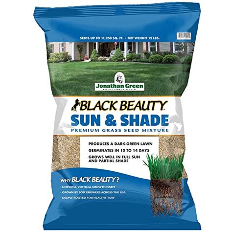 Jonathan Green Black Beauty Sun Shade Grass Seed Cool Season Lawn Seed Lb