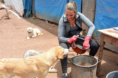 Opvang Voor Straathonden In Peru Het Andere Reizen