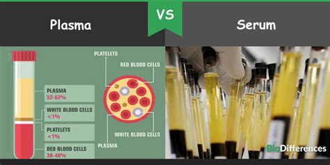 Difference Between Plasma And Serum Bio Differences