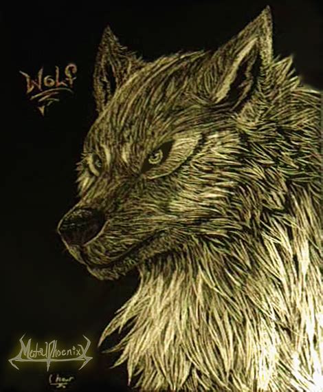 Golden Wolf By Wildphoenixwolf On Deviantart