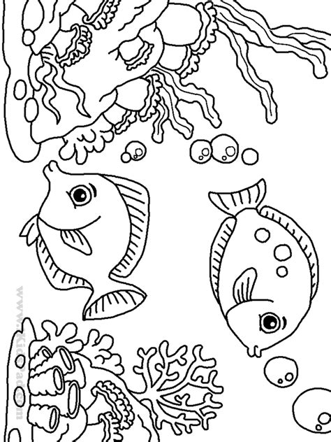 Clownfish are also considered to be omnivores. Clownfish Coloring Page - Coloring Home