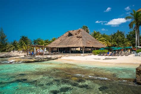 Playa Azul Beach Club Cozumel Menú Precios Y Restaurante Opiniones