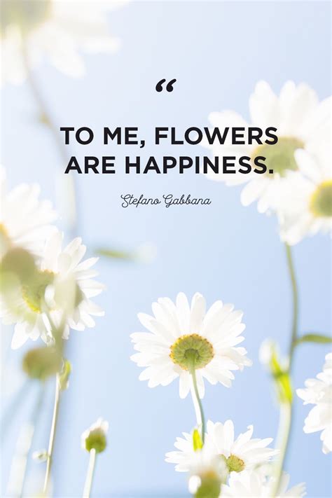Flower Quotes To Inspire Growth Flower Quotes Inspirational Flower