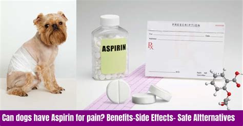 Safe Aspirin Dosage For Dogs Benefits Side Effects Serve Dogs