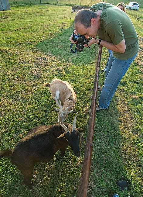 Matthew Photographs Coal And Buxton The Goats Last Night Behold A
