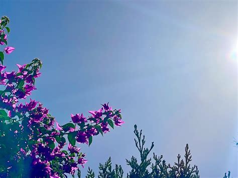 10 Reasons – My commitment to outperform any online deal is backed by