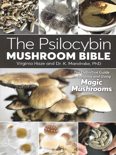 They have been used in therapeutic environments to treat several ailments and disorders. The Psilocybin Mushroom Bible