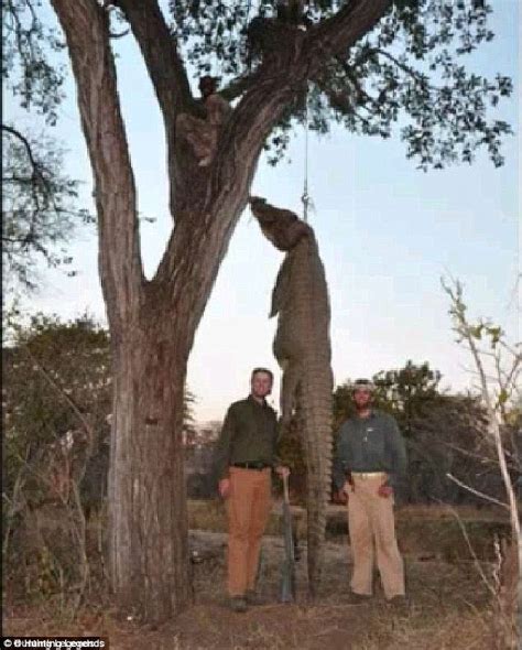 Trophy-Hunting Trump Jr. Sets Sights on ‘Re-Shaping ...