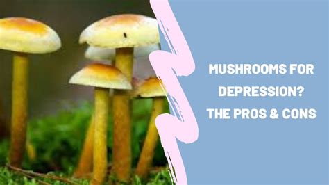 Mushrooms for Depression? The Pros & Cons - YouTube